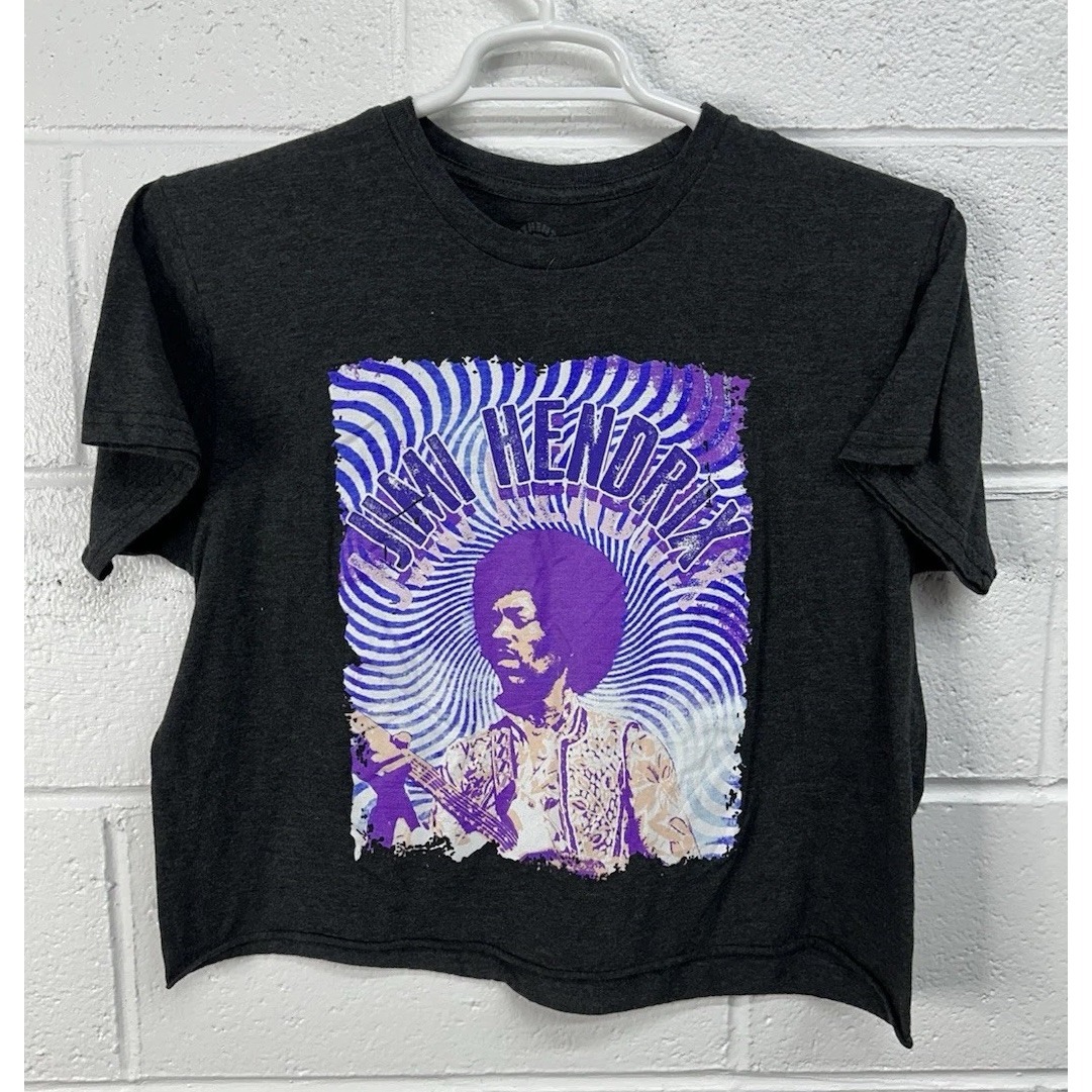 Authentic Hendrix Gray Graphic Short Sleeve Cropped Tee / Size Medium